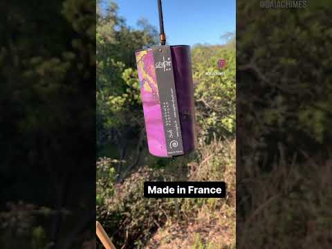 Zaphir Sufi Sound Sample Season Intermediary