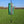 Zaphir Crystalide Season Spring green