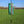 Zaphir Chime Crystalide  Season Spring Green