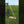 Zaphir Sufi Chime Sound Sample Intermediary Late Summer & Chime Stand