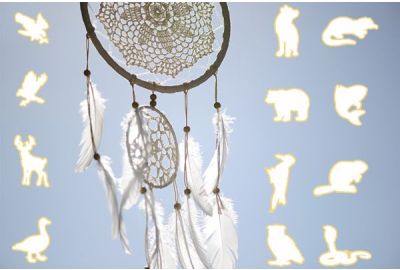 indigenious zodiac sign and dreamcatcher