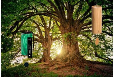 Koshi and Zaphir in Front of a Tree